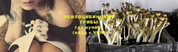 спайс Алексеевка