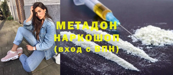 стаф Алзамай