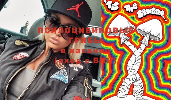стаф Алзамай