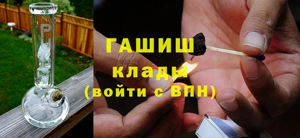 стаф Алзамай