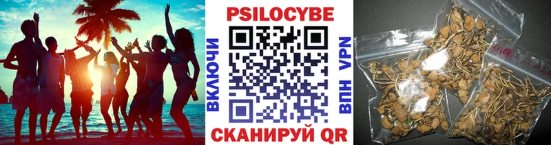 Псилоцибиновые грибы Cubensis  сайты даркнета телеграм  Венёв 